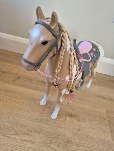 Our generation horse
