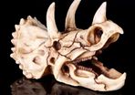 Skull Ornament Triceratops