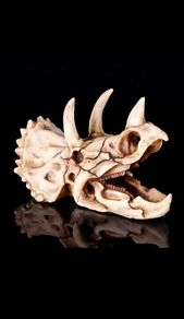 Skull Ornament Triceratops