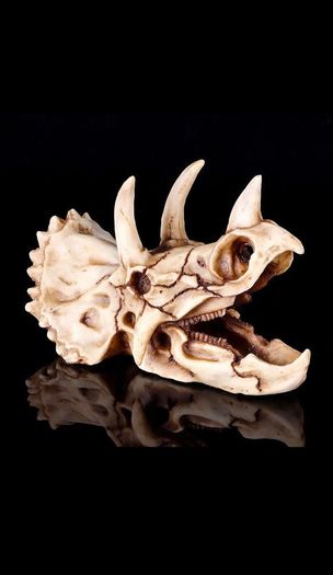 Skull Ornament Triceratops