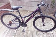 Ladies mountain bike. Cycling like new after full service