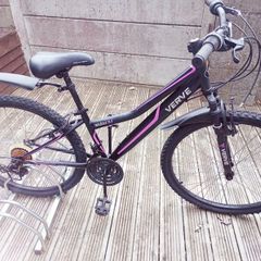 Ladies mountain bike. Cycling like new after full service