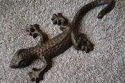 Cast iron geko wall hook.