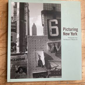 Picturing New York