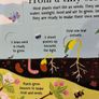 Usborne Look Inside Books Set (4 Books) Brand New, Perfect Condition Image 9