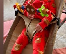 baby bjorn bouncer
