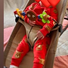 baby bjorn bouncer