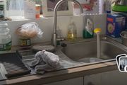 Stainless steel Tap