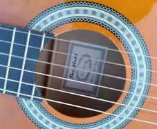 Guitar