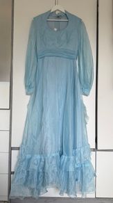 Stunning costume/theme dress Vintage
