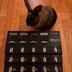 Line6 M13
