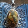 Tortoise Shell Stone Pendant Necklace Image 2