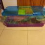 guinea pig / rabbit cage Image 2