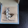 Ring Image 2