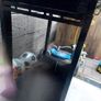 Master Cook 5 Burner Gas BBQ Image 7