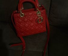 bag  brand new no tag