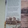 REDUCED PRICE. Eureka By Peter Fitzsimons Image 3