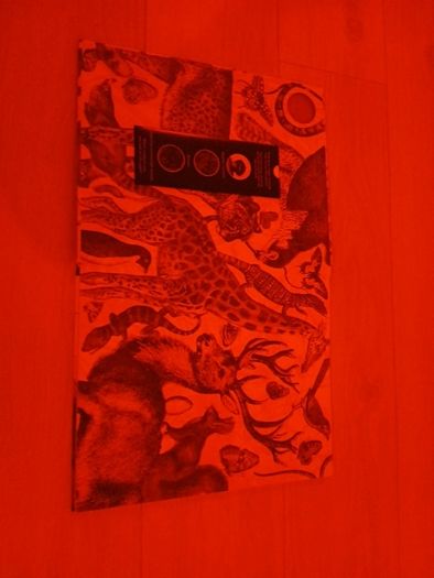 Children's book illuminature