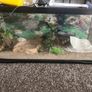 reptile viv & accessories Image 2