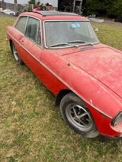 Mg Bgt
