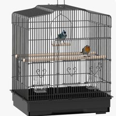 Birds Cage