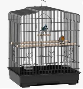 Birds Cage