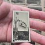 1932 Wills Homeland Events Tobacco cards Image 6