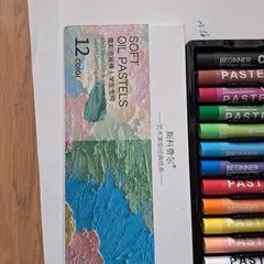 12 Soft Oil Pastels