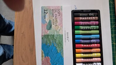 12 Soft Oil Pastels