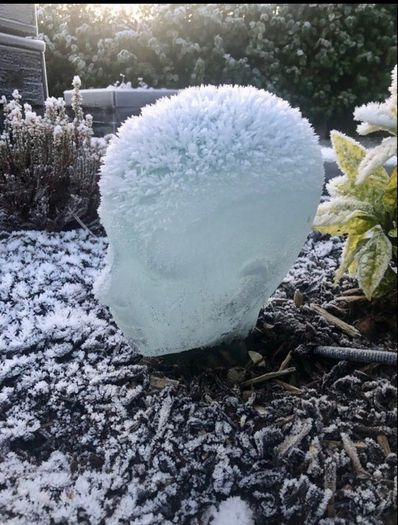 glass head