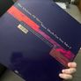 1993 The visions of shiva How much can you take 12" vinyl Image 2