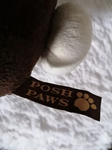 Plush Bunny
