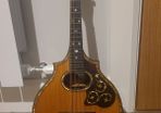 Mandolin Regal 1930's,  Beautiful