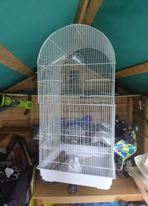 Bird Cage