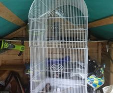 Bird Cage