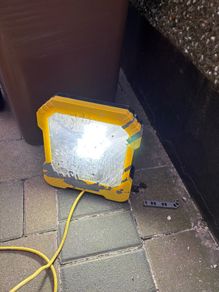110v site light