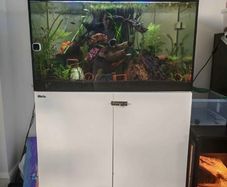 fish tank