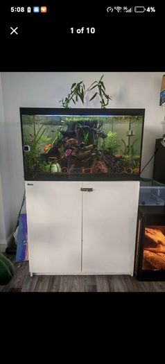 fish tank