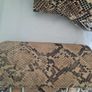 Snakeskin Ankle boots Image 4