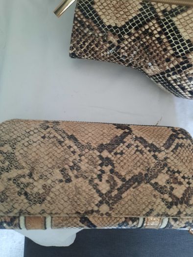 Snakeskin Ankle boots