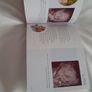 Pregnancy day by day Image 3