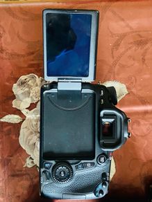 canon 70 D with lens not working