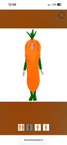 Carrot Costume - Kids