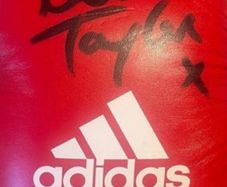 katie Taylor signed gloves