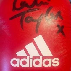 katie Taylor signed gloves