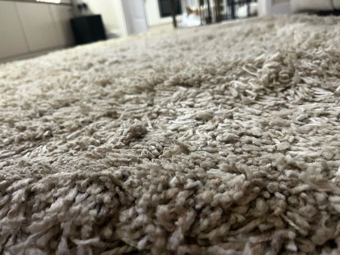 Beige living room carpet