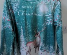 Ladies Christmas top