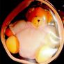 BNIB Vintage Harrods Teddies Image 5