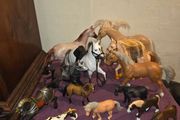 Toy Horse Collection