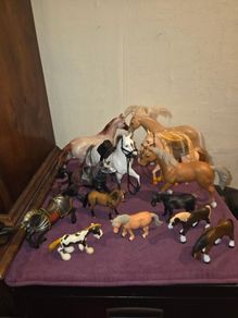 Toy Horse Collection